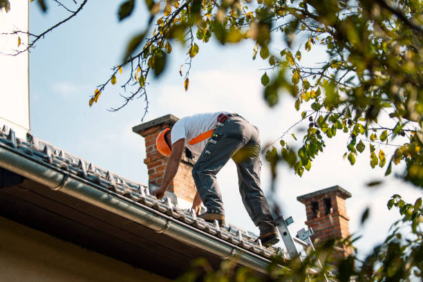 Best Roof Gutter Cleaning  in Kiefer, OK